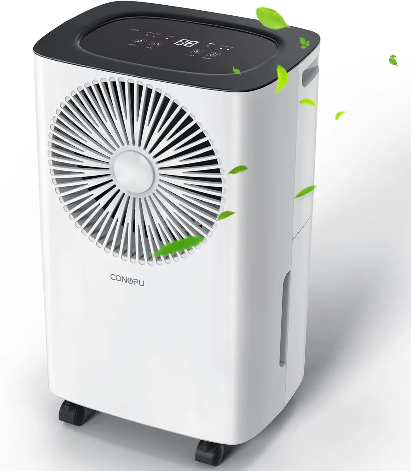 CONOPU Dehumidifier 12 L/day, continuous drain, auto mode, sleep mode, 24h timer